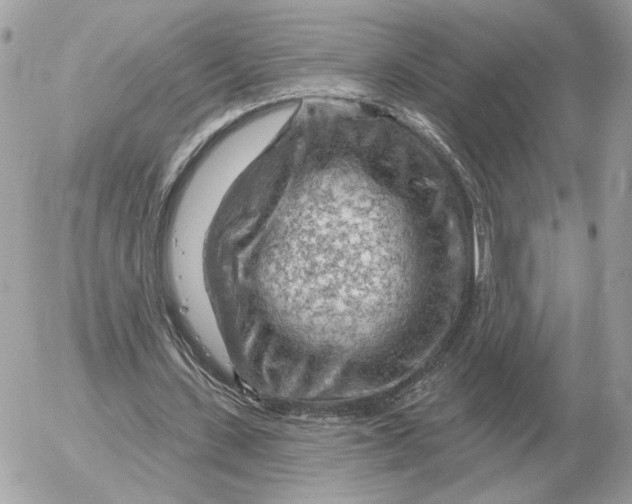 X0000052640531200507221818