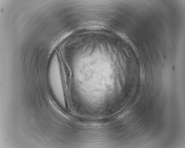 X0000052640533200507221818