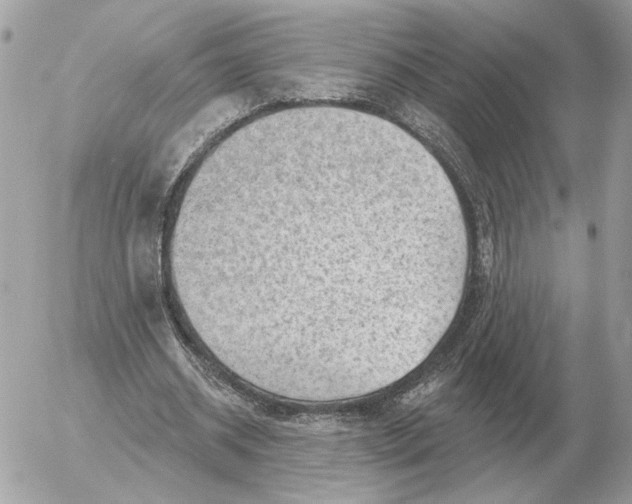 X0000052640534200507221818