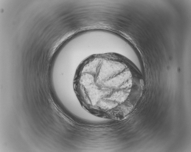 X0000052640535200507221818