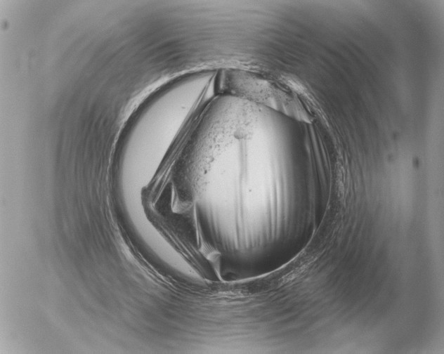 X0000052640536200507221818