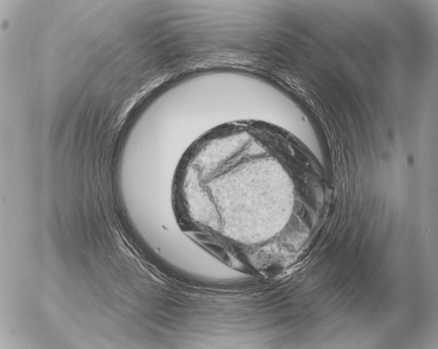 X0000052640539200507221818