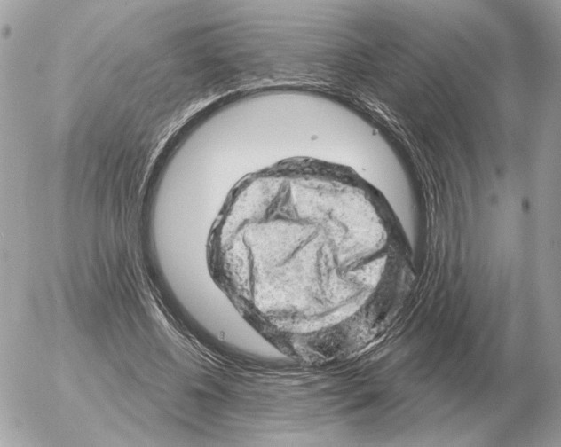 X0000052640540200507221818