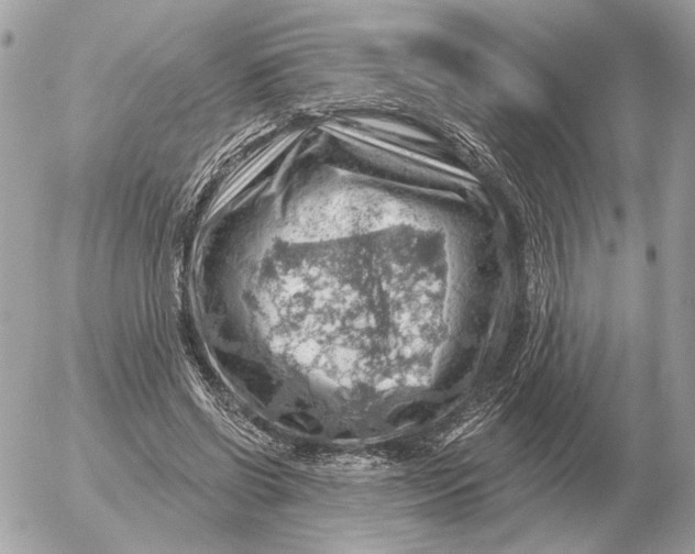 X0000052640542200507221818