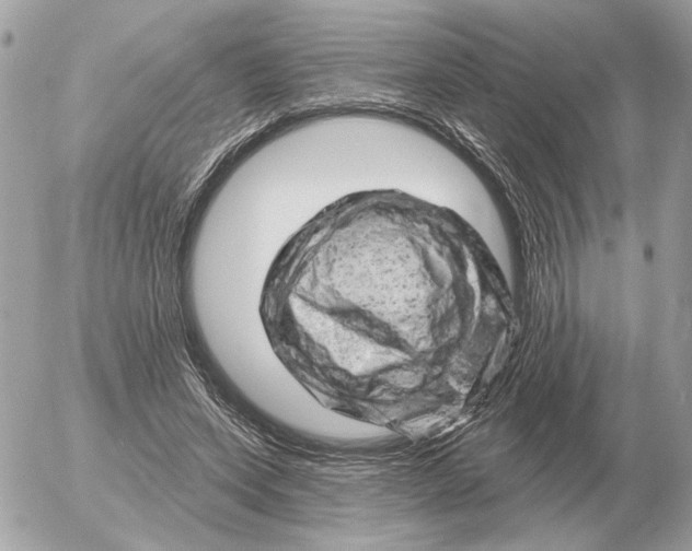 X0000052640543200507221818