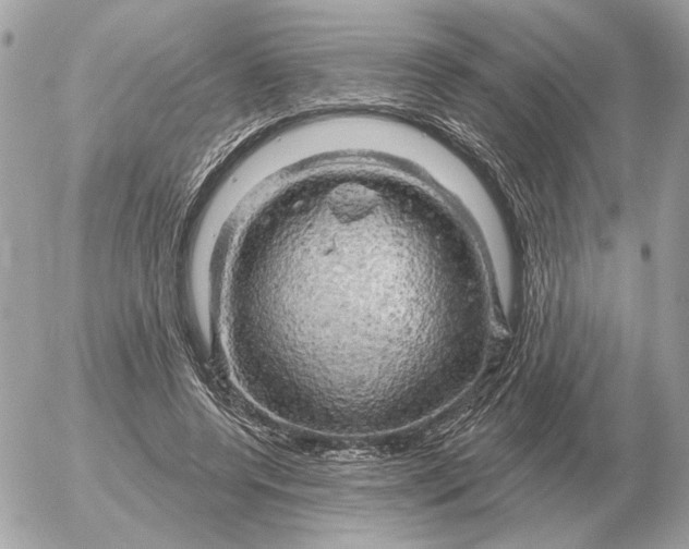 X0000052640544200507221818