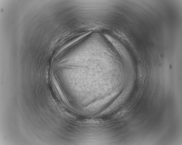 X0000052640545200507221818