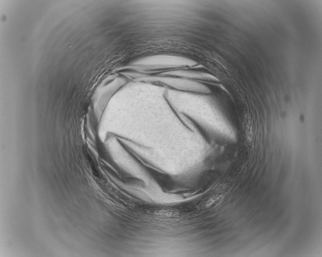 X0000052640546200507221818