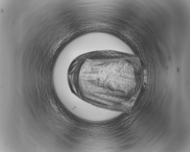 X0000052640547200507221818