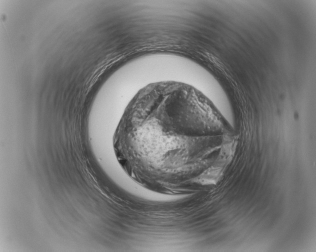 X0000052640548200507221818