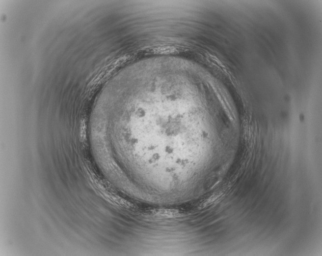 X0000052640549200507221818