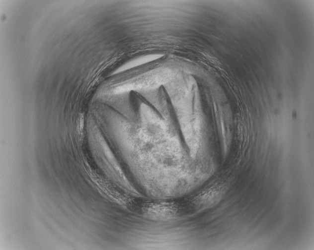 X0000052640550200507221818