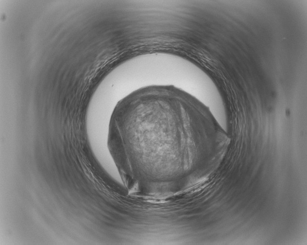 X0000052640551200507221818