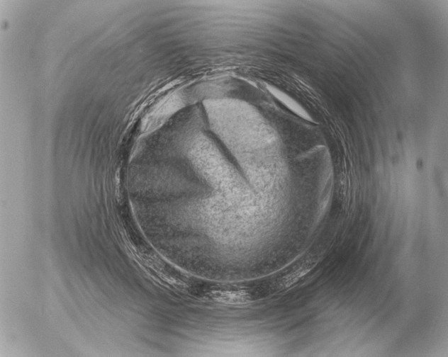 X0000052640552200507221818