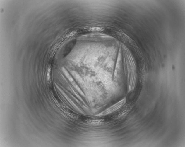 X0000052640553200507221818