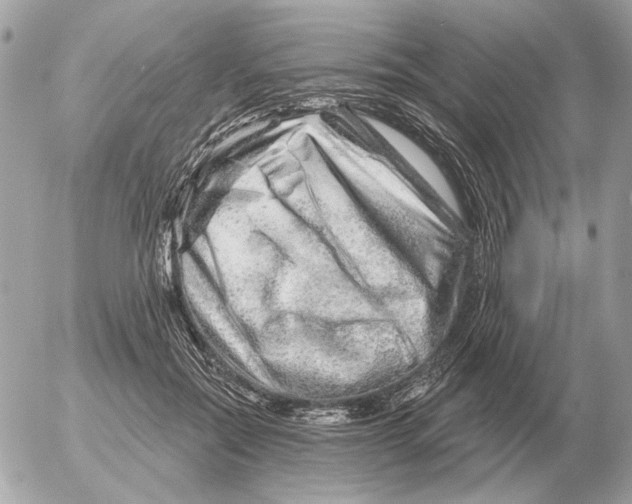 X0000052640554200507221818