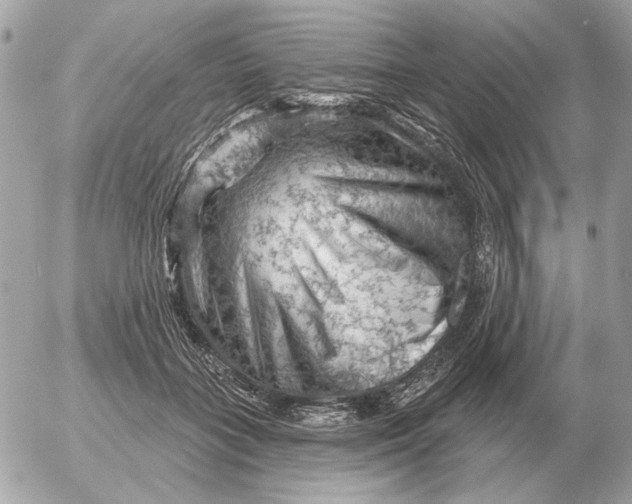 X0000052640555200507221818