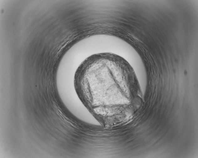 X0000052640556200507221818