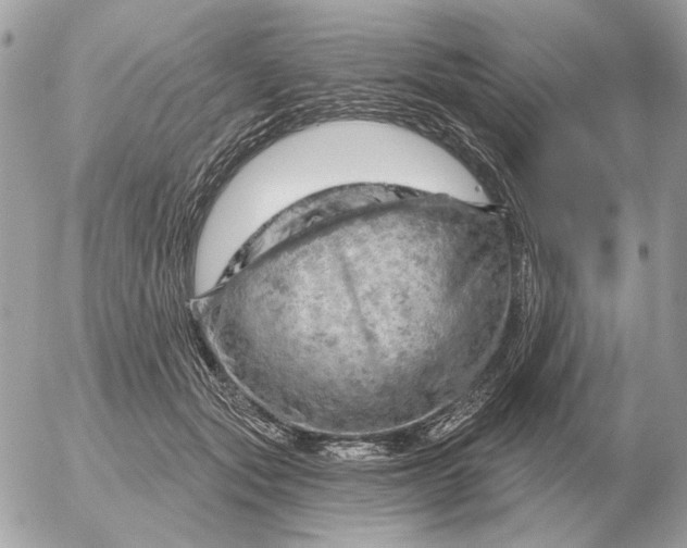 X0000052640557200507221818