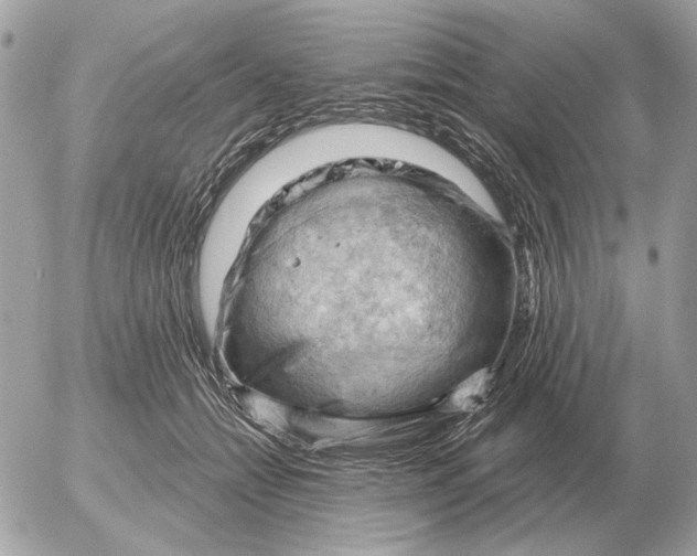 X0000052640558200507221818