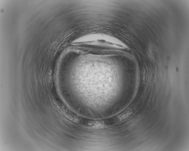 X0000052640559200507221818