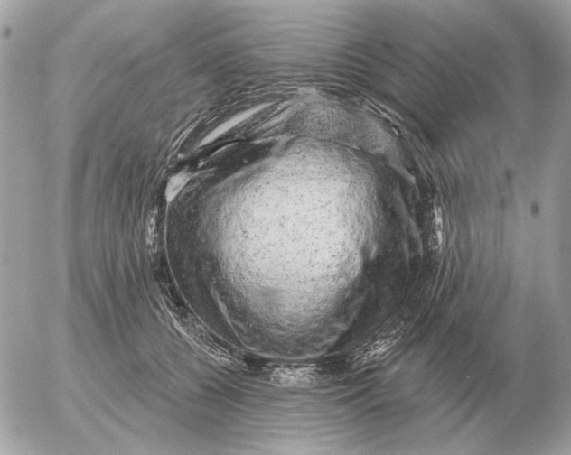 X0000052640560200507221818