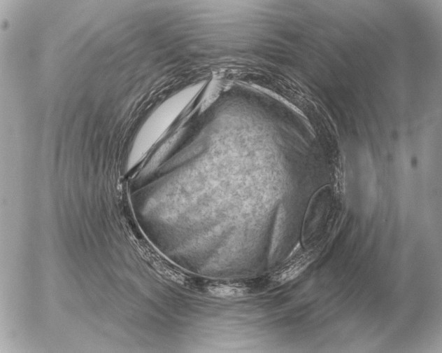 X0000052640561200507221818