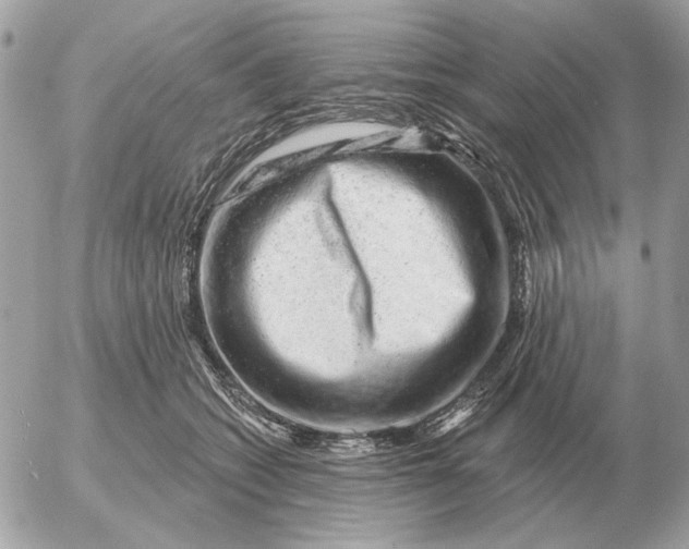 X0000052640562200507221818