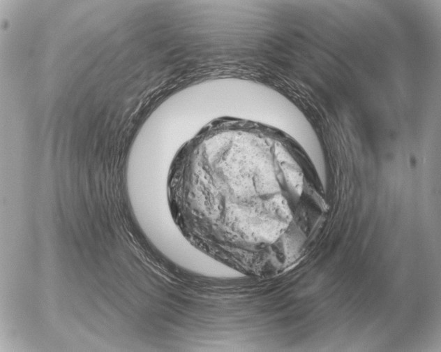 X0000052640563200507221818