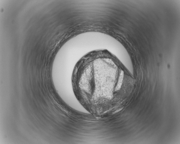 X0000052640564200507221818