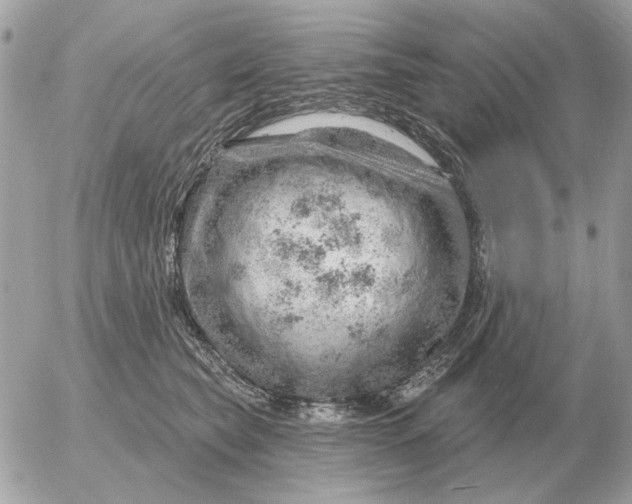 X0000052640565200507221818