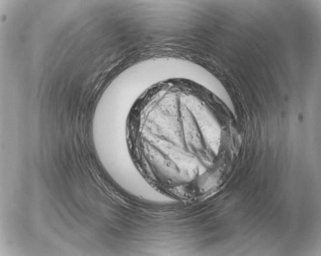 X0000052640566200507221818