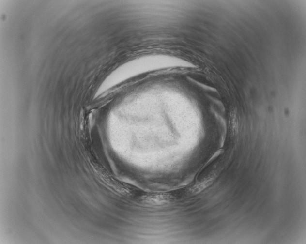 X0000052640567200507221818