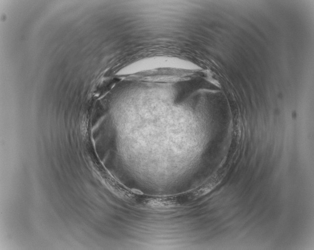 X0000052640568200507221818