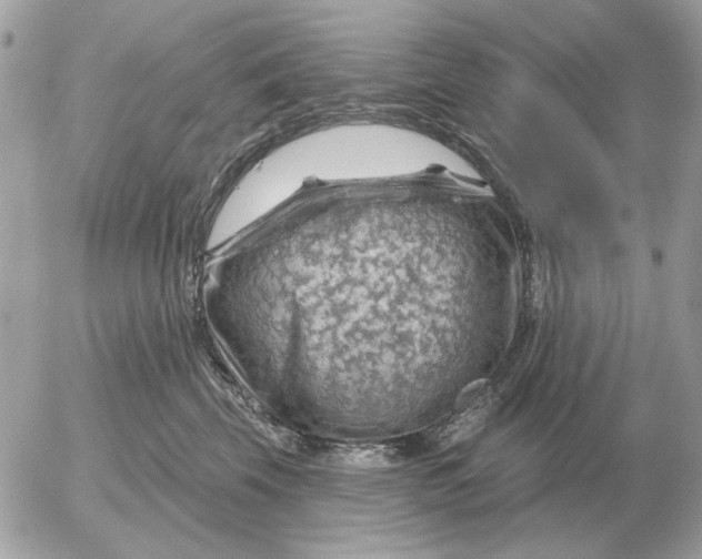 X0000052640569200507221818