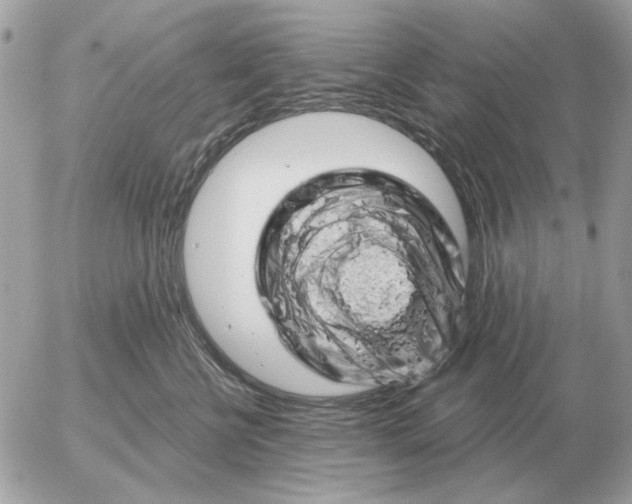 X0000052640570200507221818