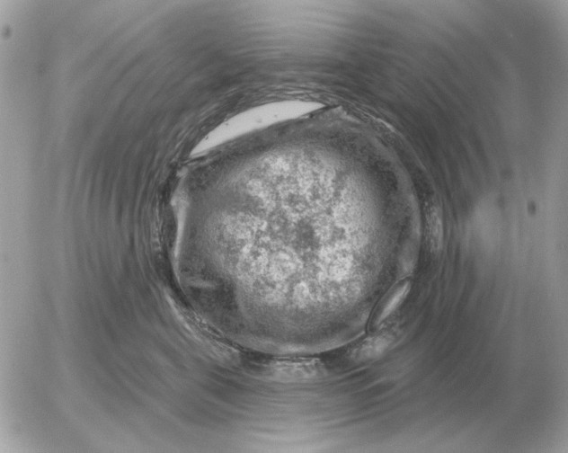 X0000052640571200507221818