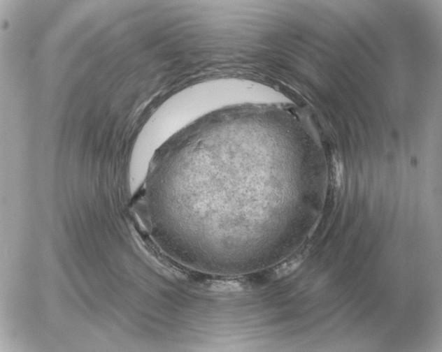 X0000052640572200507221818