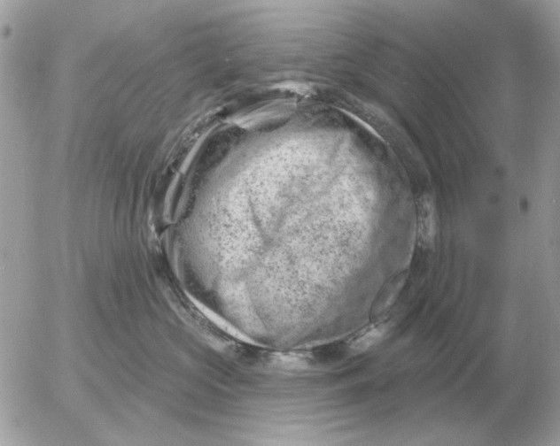 X0000052640573200507221818