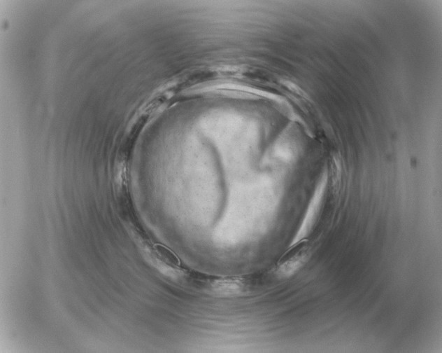 X0000052640574200507221818