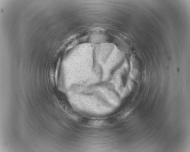 X0000052640575200507221818