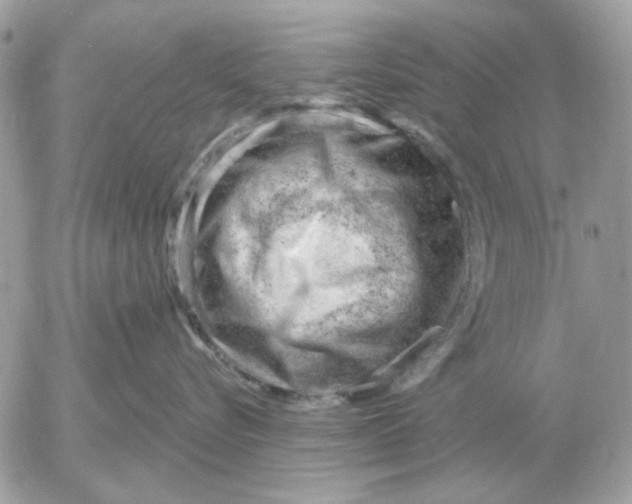 X0000052640576200507221818