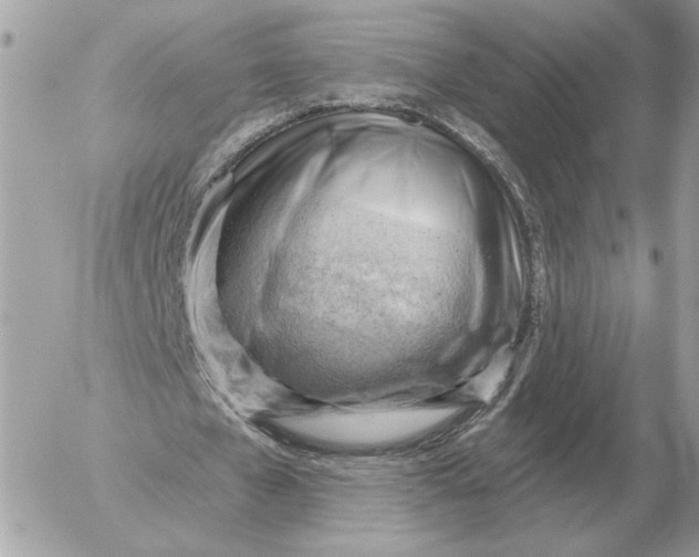 X0000052640577200507221818