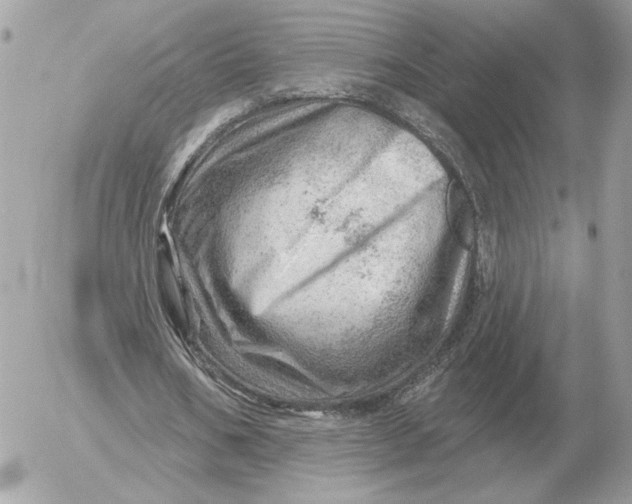 X0000052640578200507221818