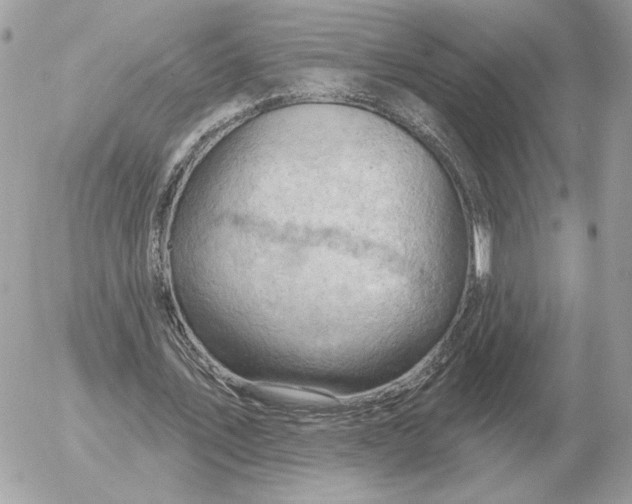 X0000052640579200507221818