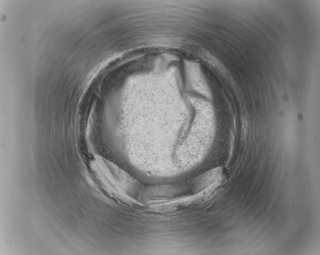 X0000052640580200507221818