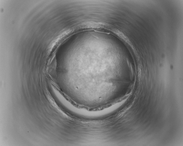 X0000052640581200507221818