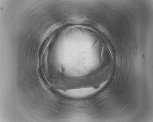 X0000052640582200507221818