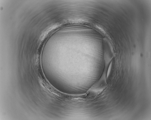 X0000052640583200507221818