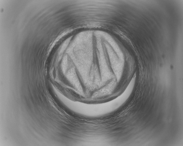 X0000052640584200507221818